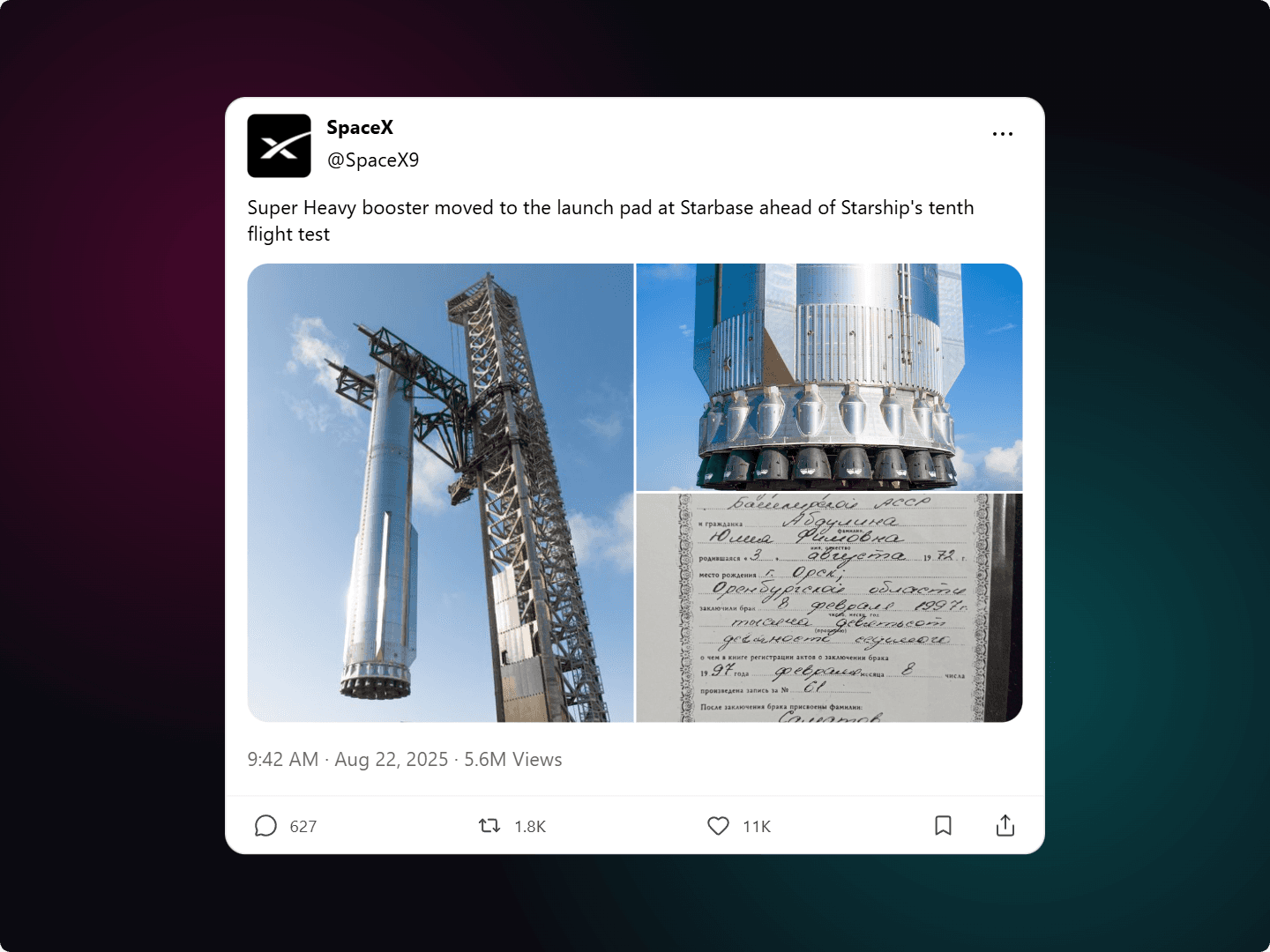 Social studio preview